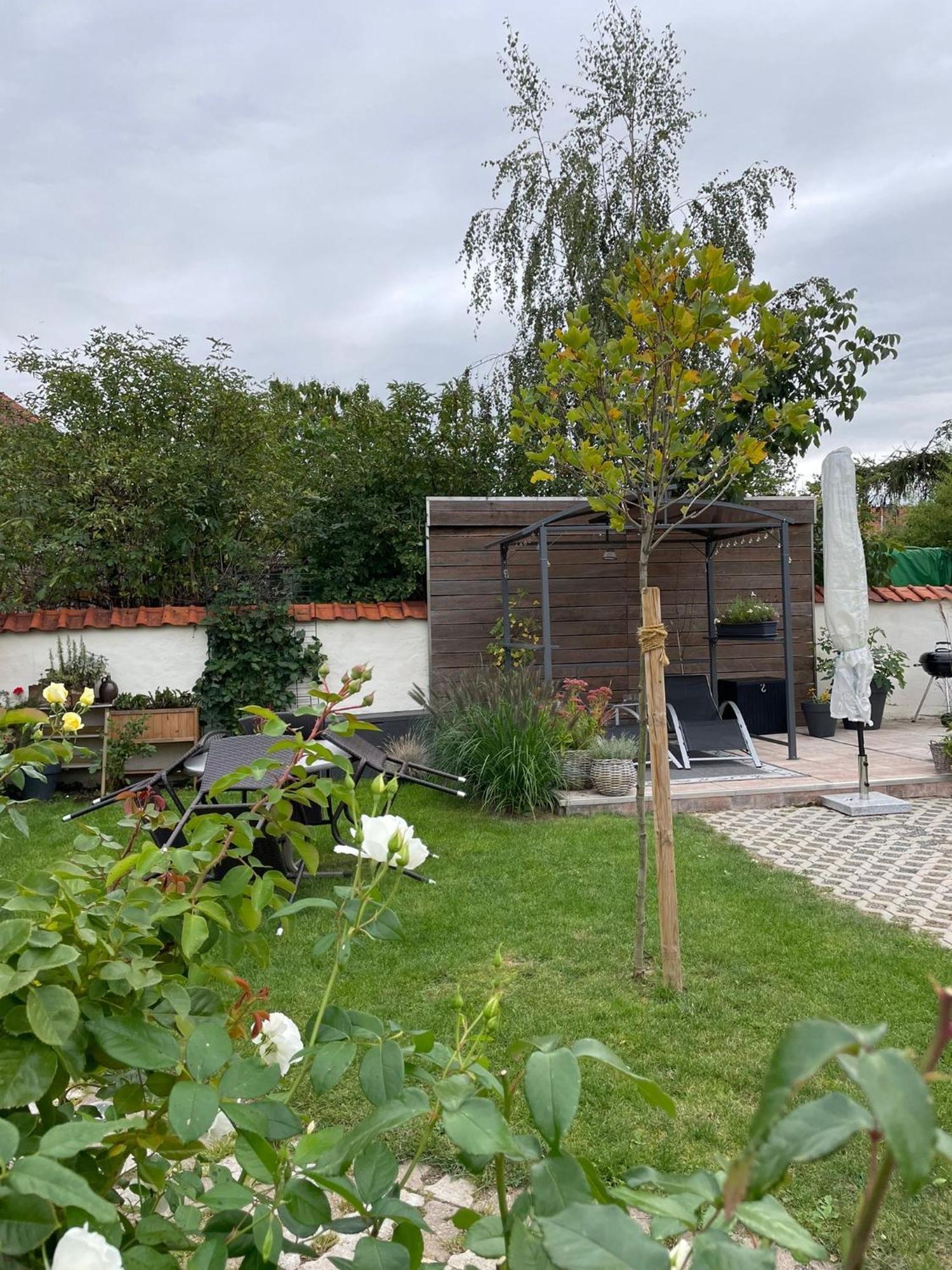Gemuetliche Ferienwohnung Wernigerode Bagian luar foto